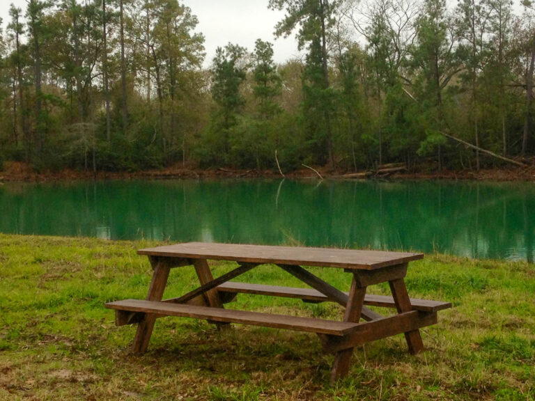 picnic table at pond