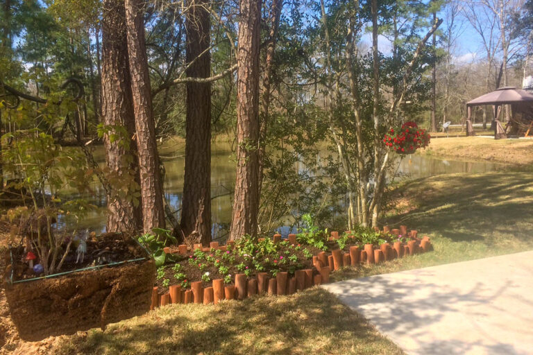 flowers in garden with pond behind