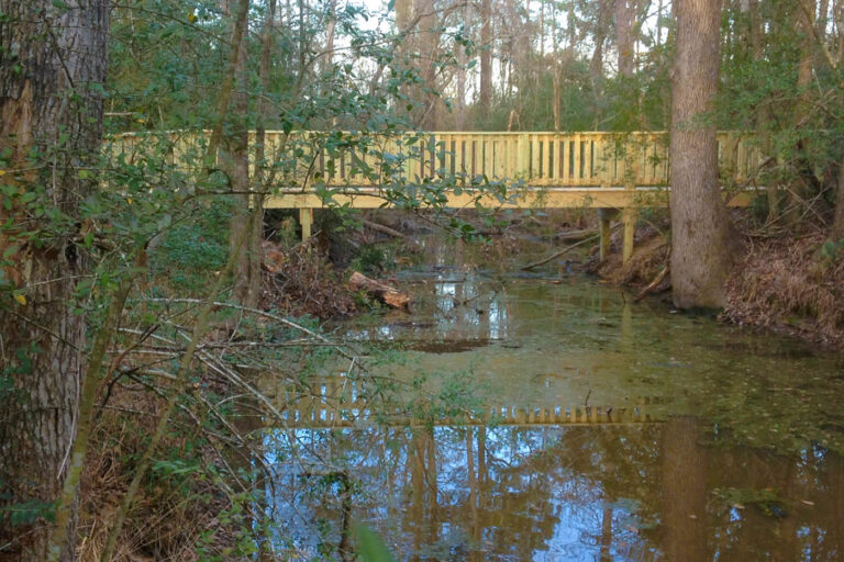 pond with bridge