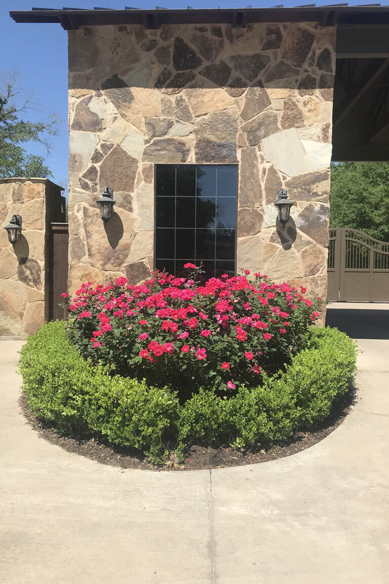 flowers in front of building