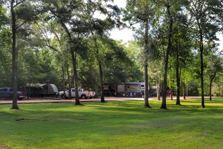 rvs parked in lots surrounded by grass and trees