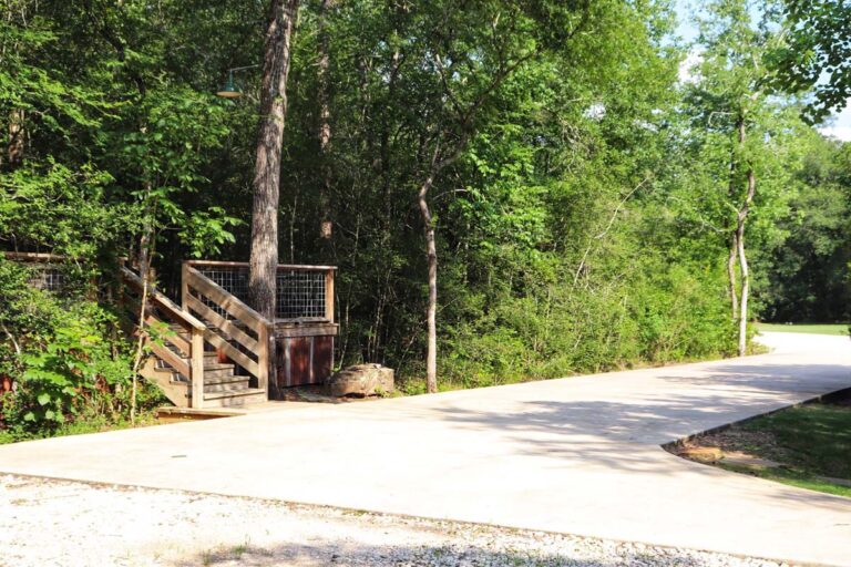 road surrounded by trees with wooden platform