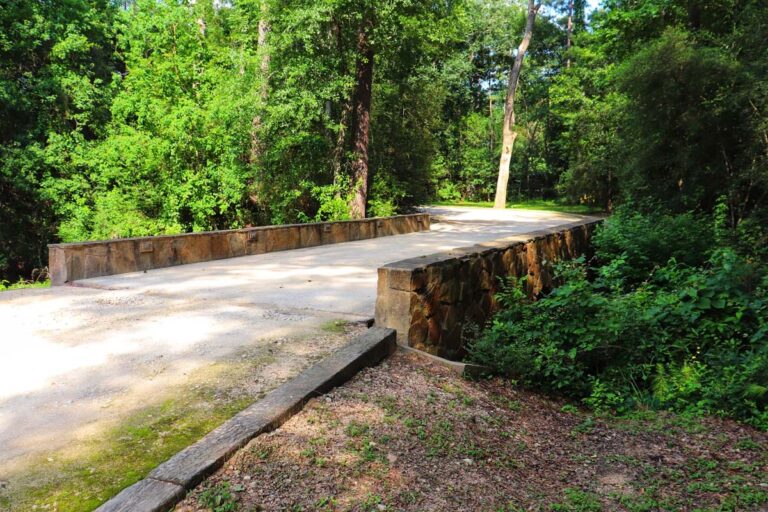 stone bridge surrounded by trees