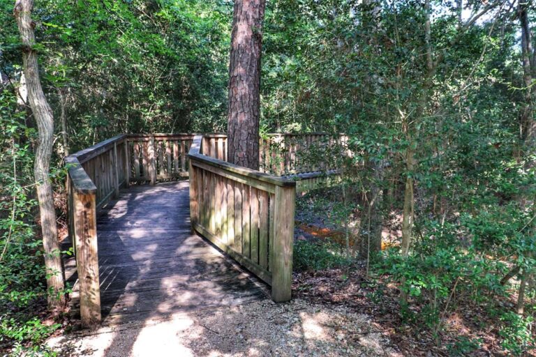 wooden bridge over stream surrounded by trees