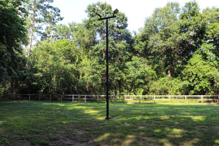 dog park with lighting