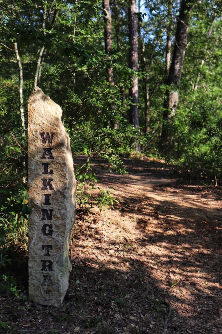 walking trail sign and unpaved road between trees