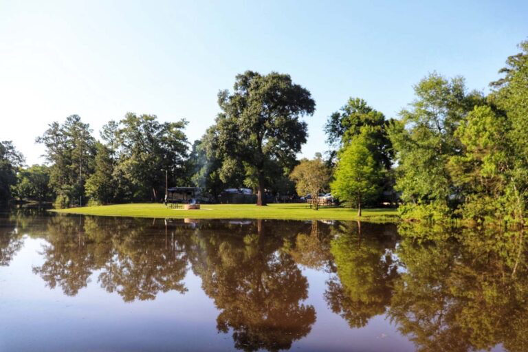 wide shot of lake, trees, and grass