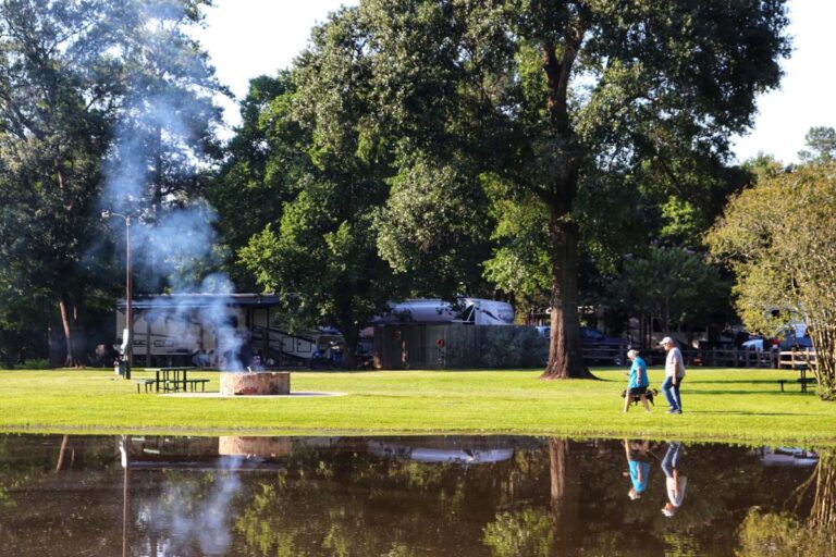 people walking their dog in a field next to water and trees