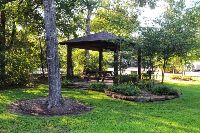 shaded pergola surrounded by grass and trees