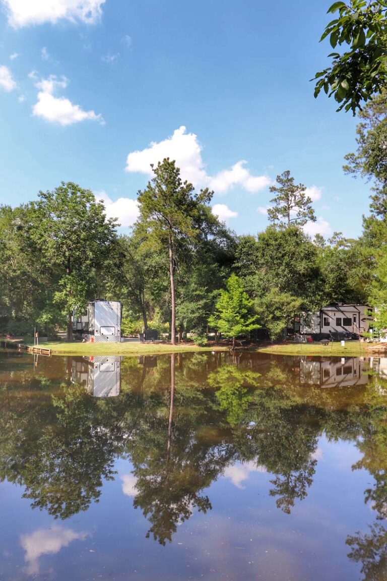 trees and grass with rvs parked in front of water