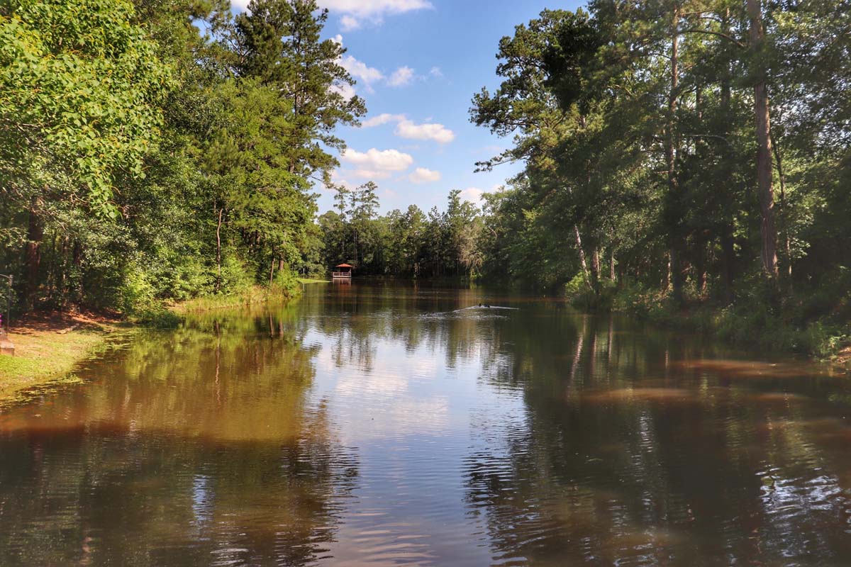 wide shot of river and trees