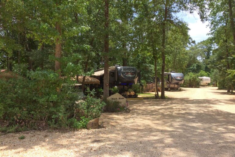 parked RVs on lots with trees